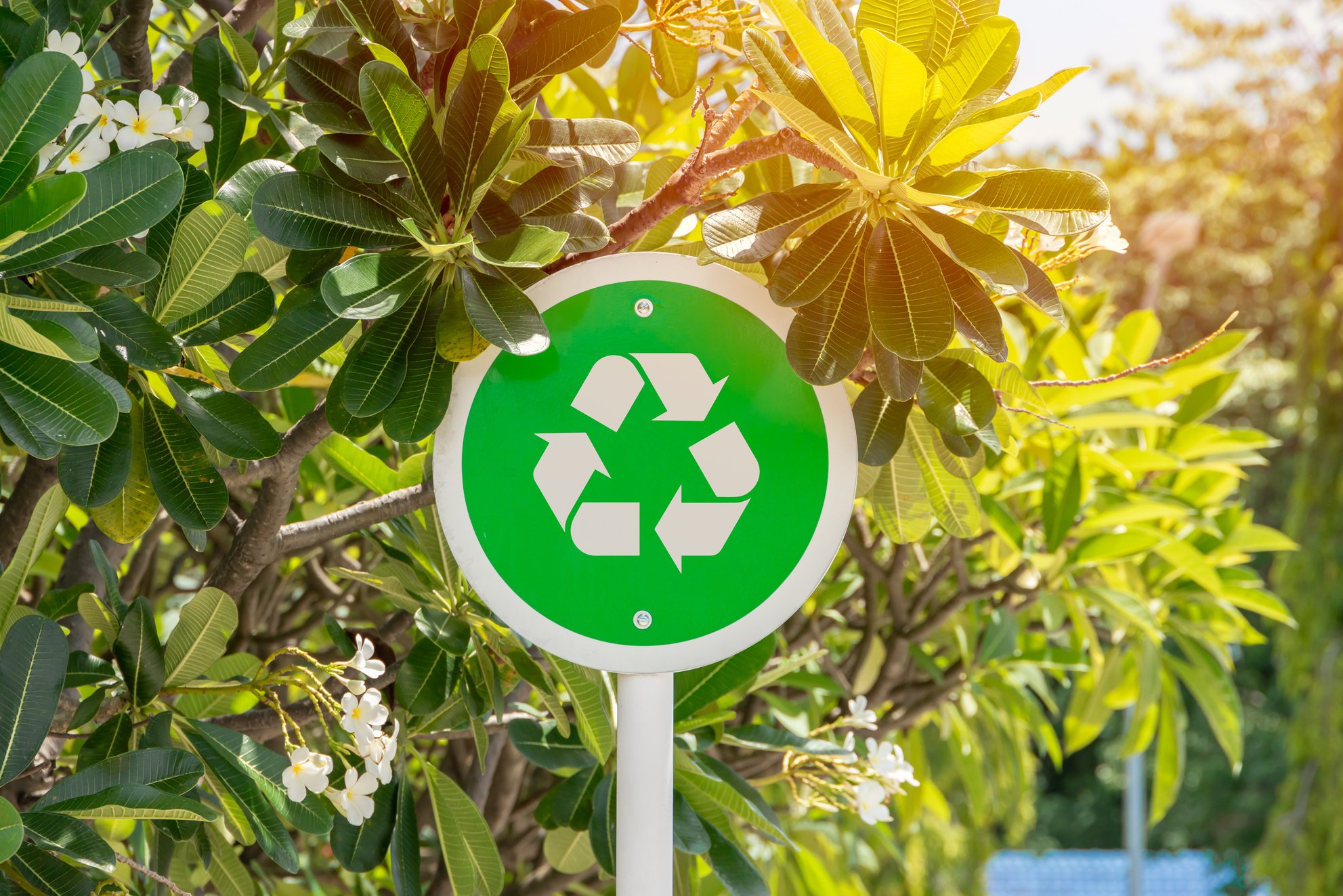 Green Tree with Recycle Label, Recycling Sign Symbol To Realize Environmental Conservation and Protect Nature by Reuse Garbage.