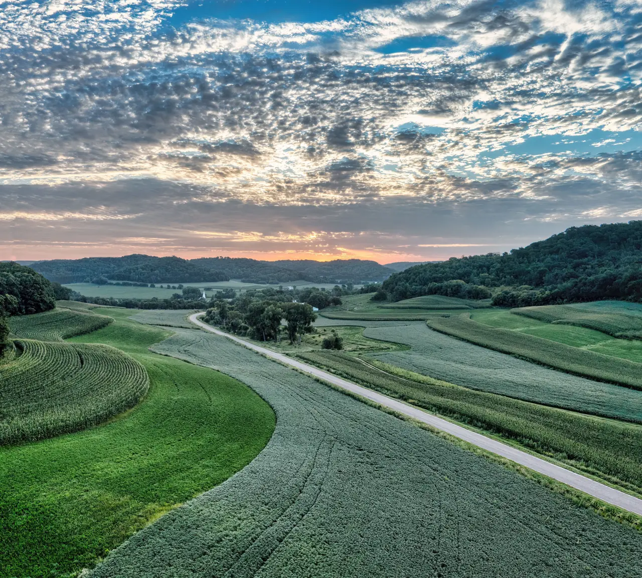 Curving green fields and a country road, seen from above