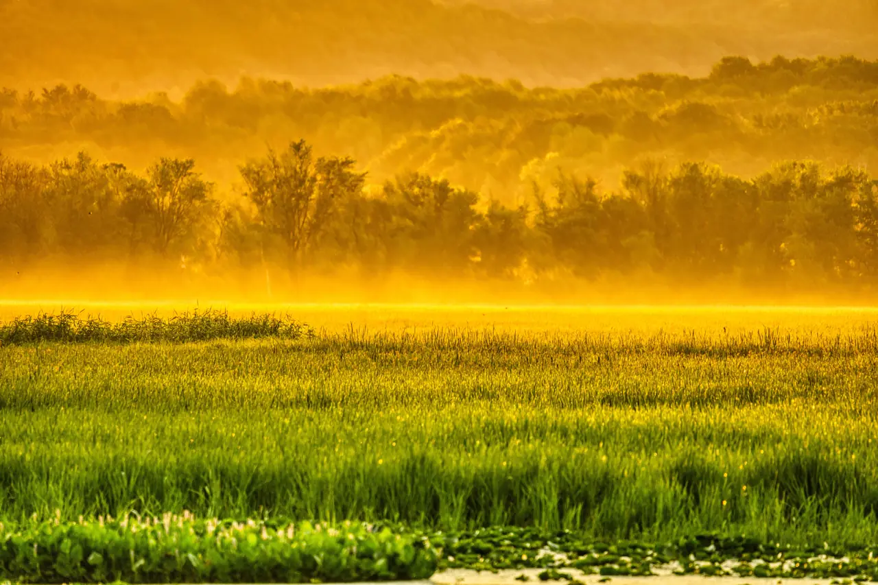 Farmland in early morning light