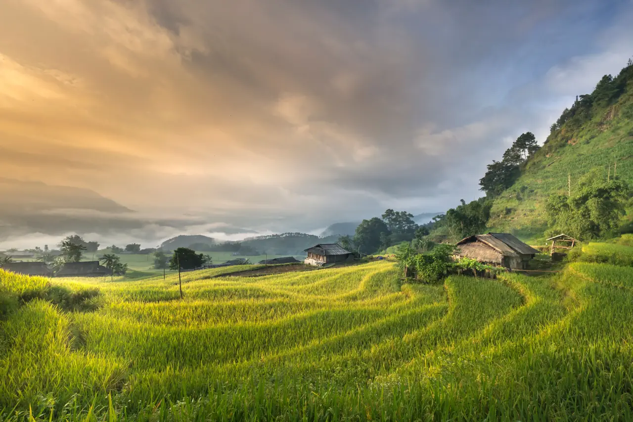 Terraced fields and houses in morning mist