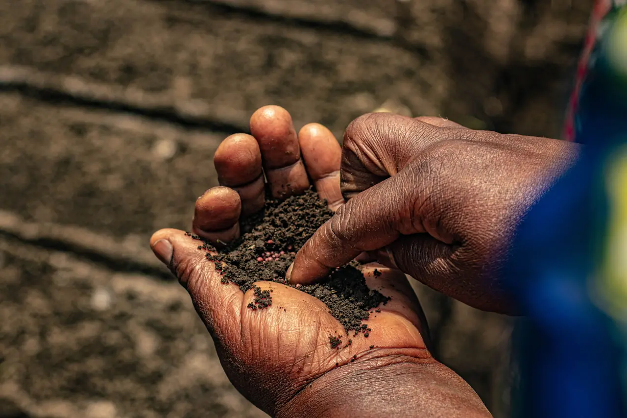 Hands holding dark, rich soil