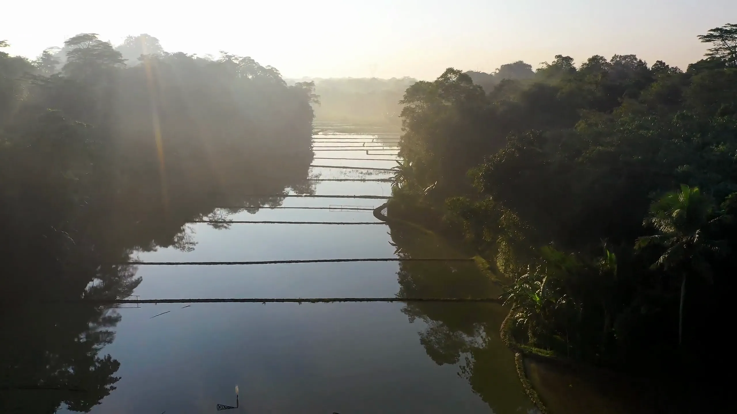 Green farmland at sunrise